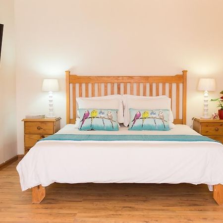 Coronata 20 B&B Stellenbosch Zewnętrze zdjęcie